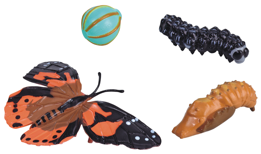 Lebenszyklus-Figuren: Schmetterling Lebenszyklus-Figuren: Schmetterling