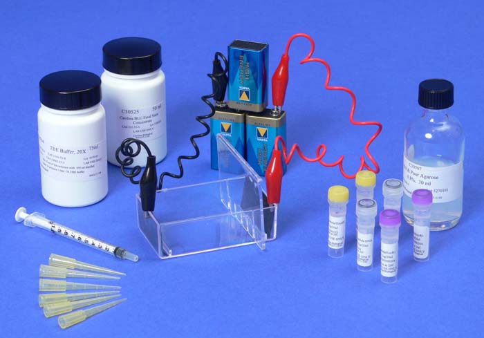 Elektrophorese von Farbstoffen - Kit Elektrophorese von Farbstoffen - Kit