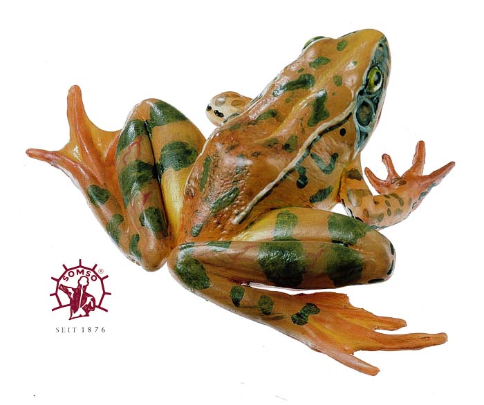 Springfrosch - Tierplastik Springfrosch - Tierplastik