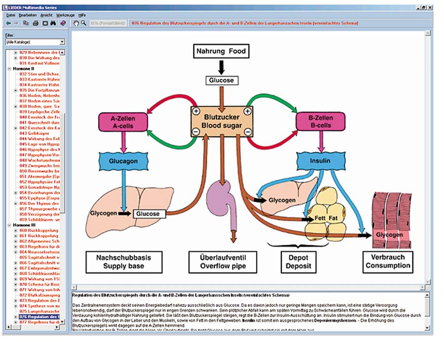Hormone, Hormonsysteme und Steuerung Hormone, Hormonsysteme und Steuerung
