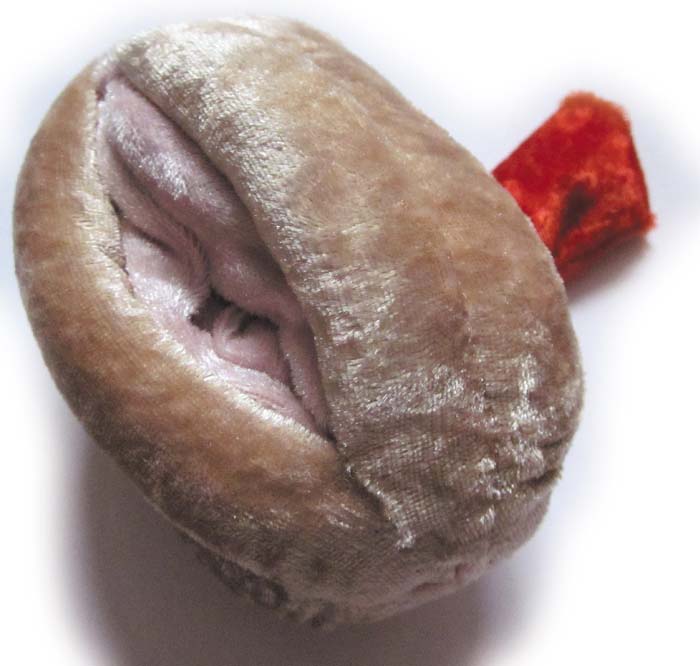 Vulva/Vagina Modell Vulva/Vagina Modell