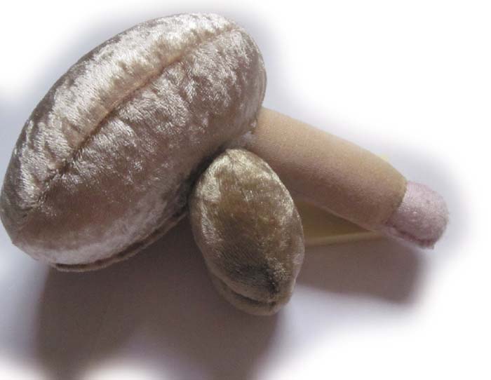Penis Modell - beschnitten Penis Modell - beschnitten