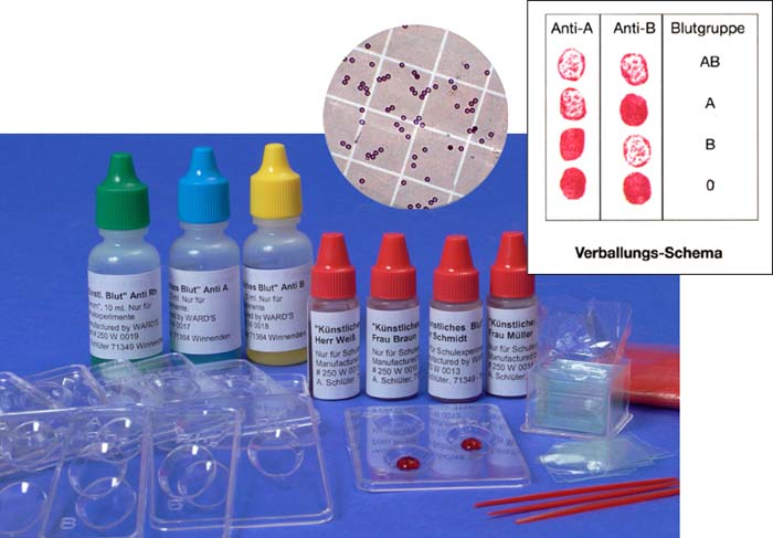 Experimentier-Kit de Luxe Experimentier-Kit de Luxe