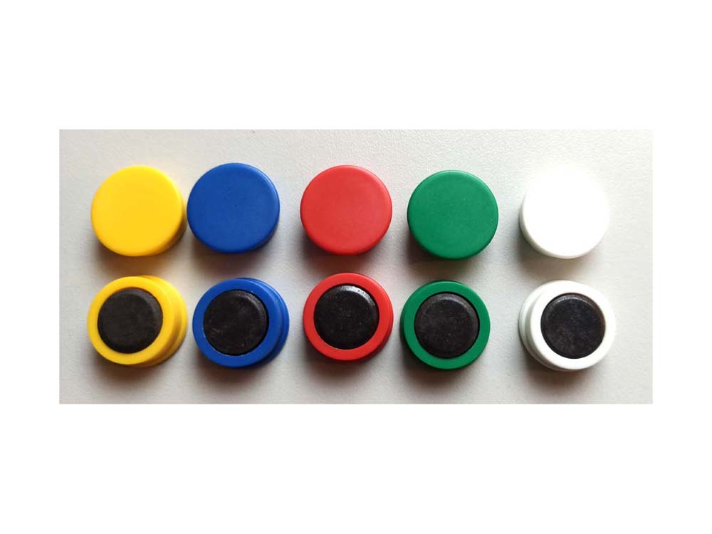 Magnete mit Colorkappe - einfarbig