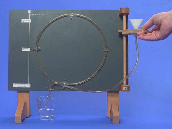 Nervenerregung Nervenerregung