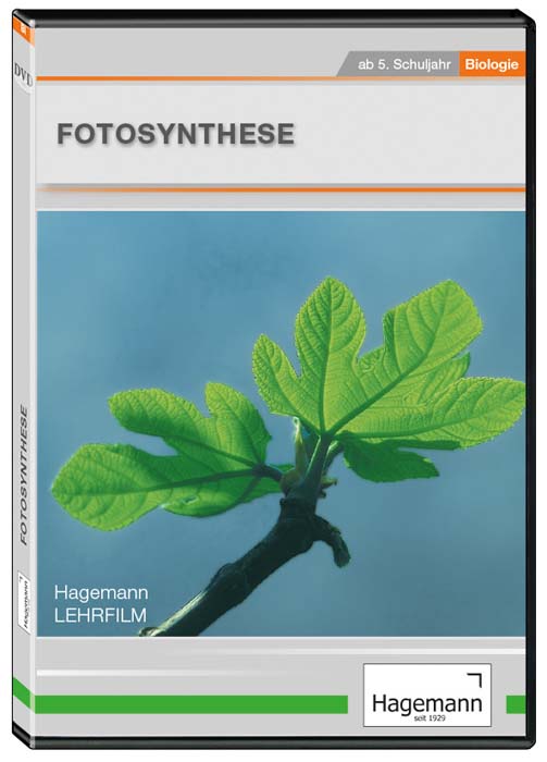 Fotosynthese - DVD Fotosynthese - DVD