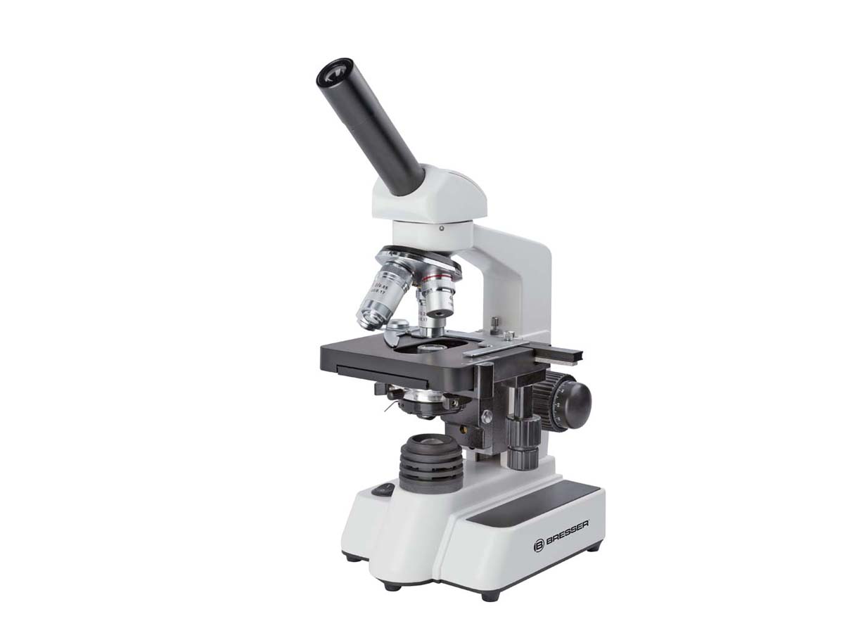 BRESSER Erudit DLX BRESSER Erudit DLX