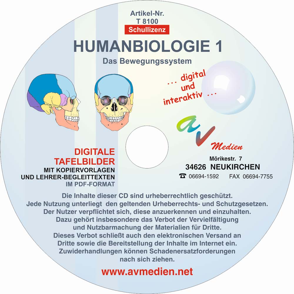 Humanbiologie 1: Das Bewegungssystem Humanbiologie 1: Das Bewegungssystem