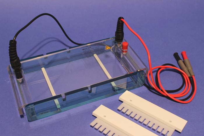 Elektrophoresekammer, horizontal Elektrophoresekammer, horizontal