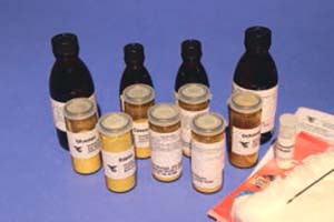 Biokit - Die Verdauung Biokit - Die Verdauung