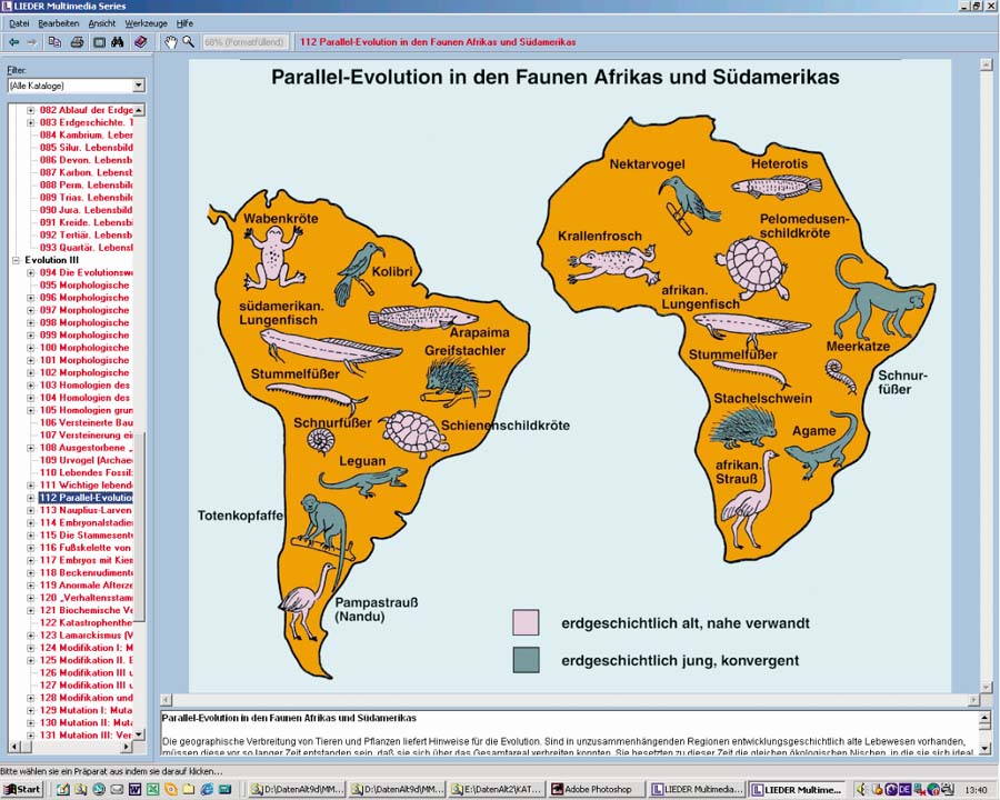 Evolution exemplarisch Evolution exemplarisch