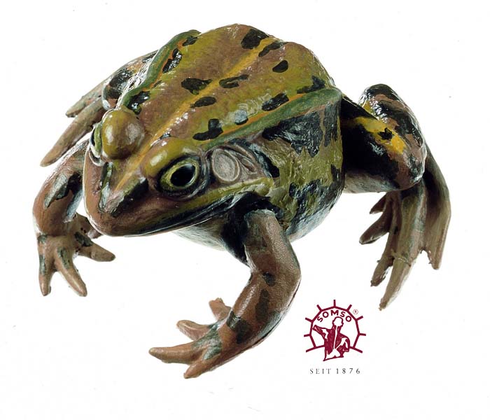 Teichfrosch, klein - Tierplastik Teichfrosch, klein - Tierplastik