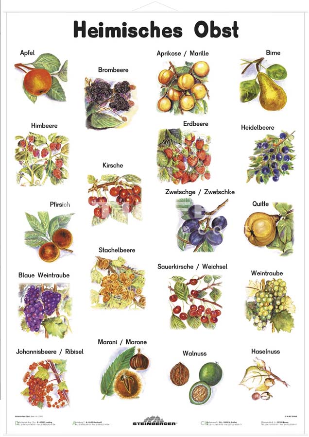 Lehrtafel - Heimisches Obst Lehrtafel - Heimisches Obst