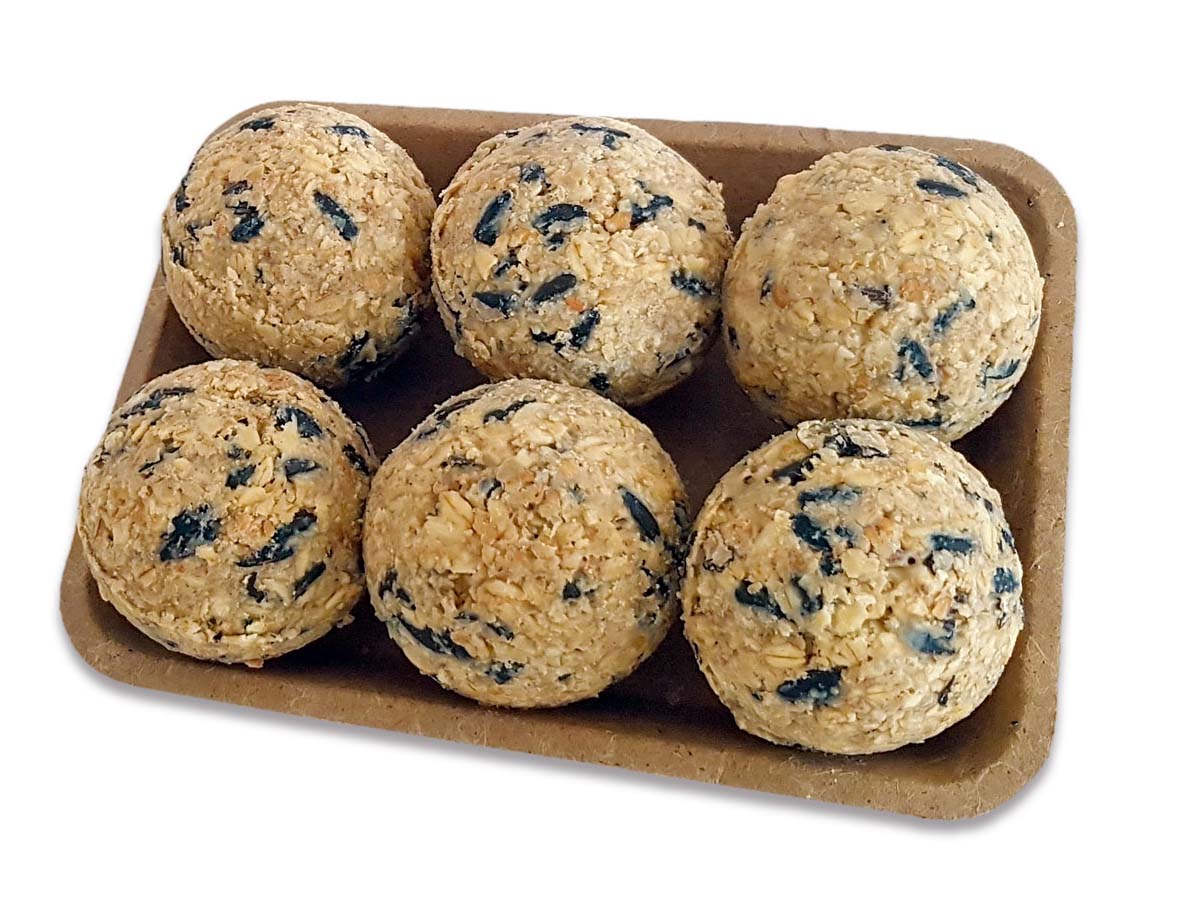 Meisenknödel zur Fütterung im Winter Meisenknödel zur Fütterung im Winter