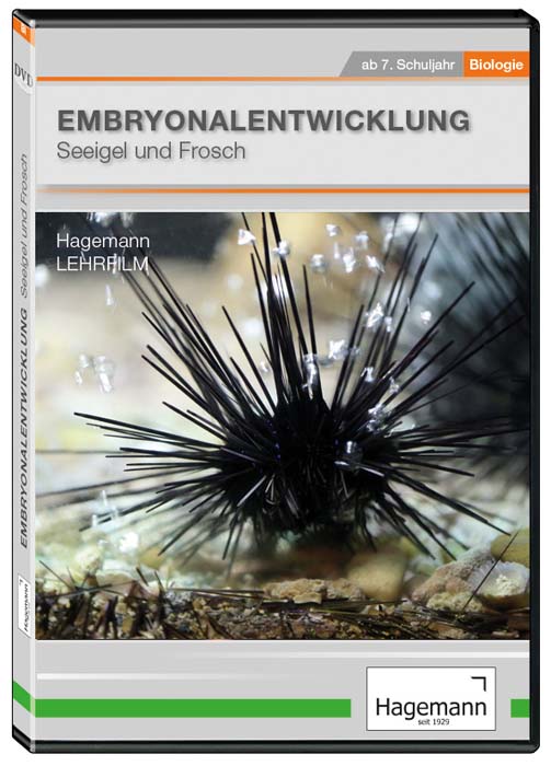 Embryonalentwicklung: Seeigel und Frosch - DVD