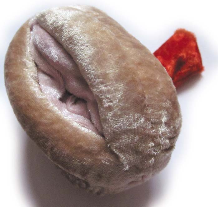 Vulva/Vagina Modell