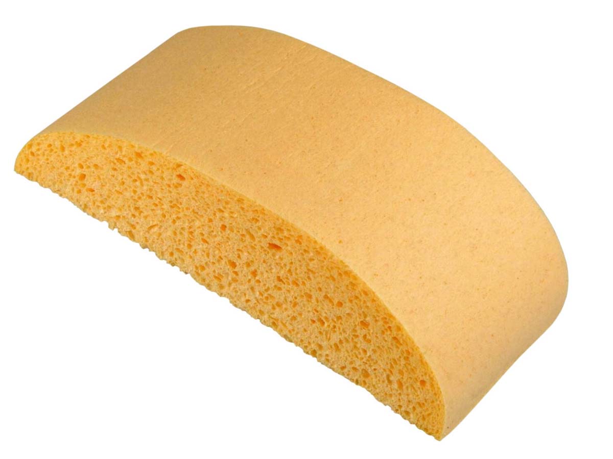 Autoschwamm gequollen Autoschwamm gequollen