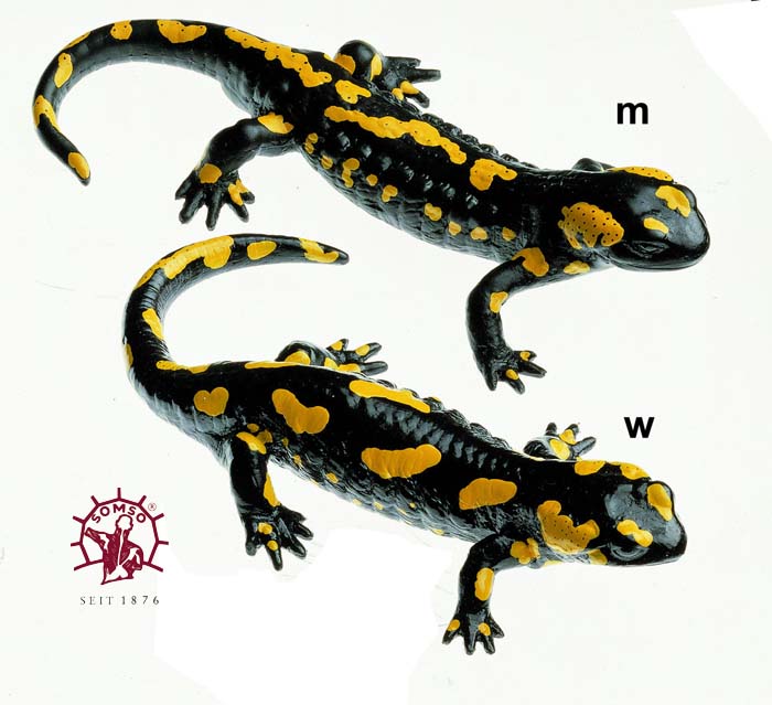 Gefleckter Feuersalamander - Tierplastik