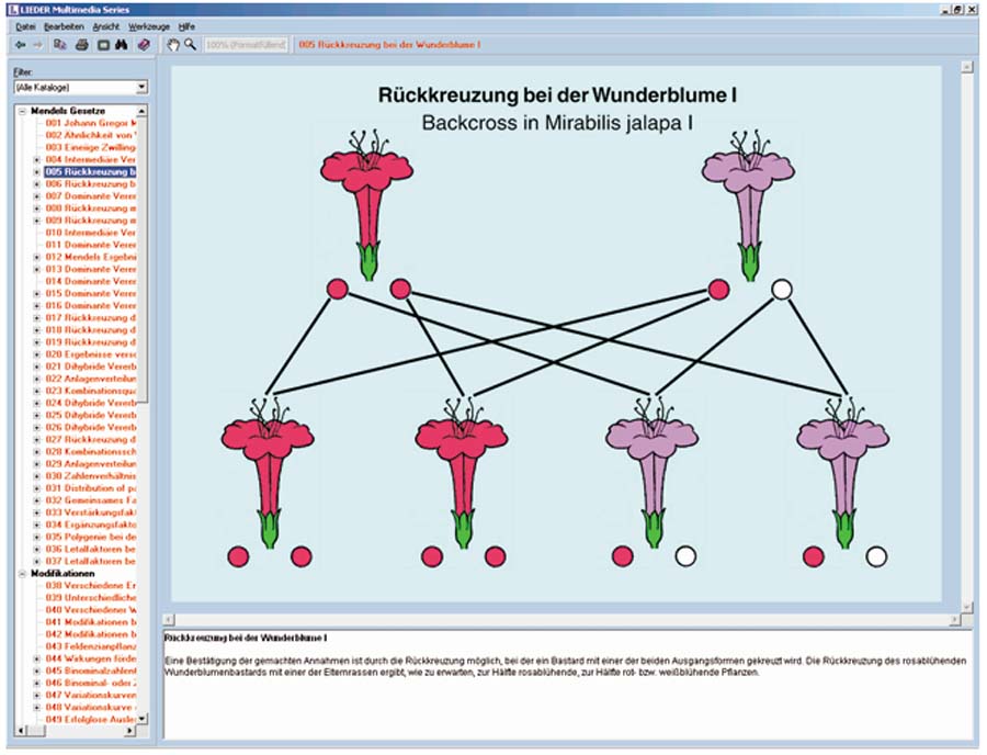 Mendelsche Gesetze, Modifikation und Mutation