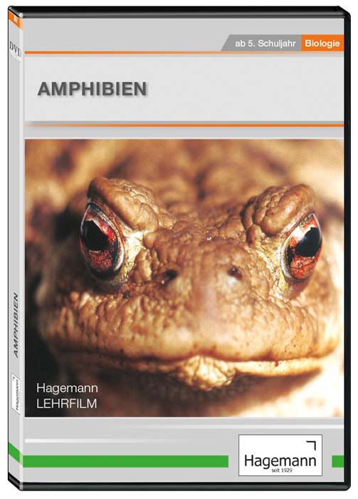 Amphibien - DVD Amphibien - DVD