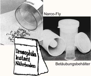 Zuchtgeräte für Drosophila-Kulturen