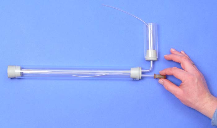 Klangzerlegung im Innenohr Klangzerlegung im Innenohr