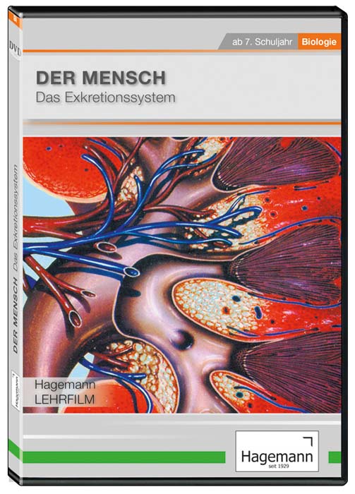 Der Mensch: Das Exkretionssystem - DVD