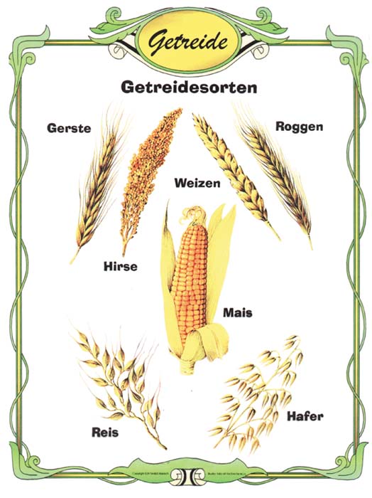 Getreidesorten Getreidesorten