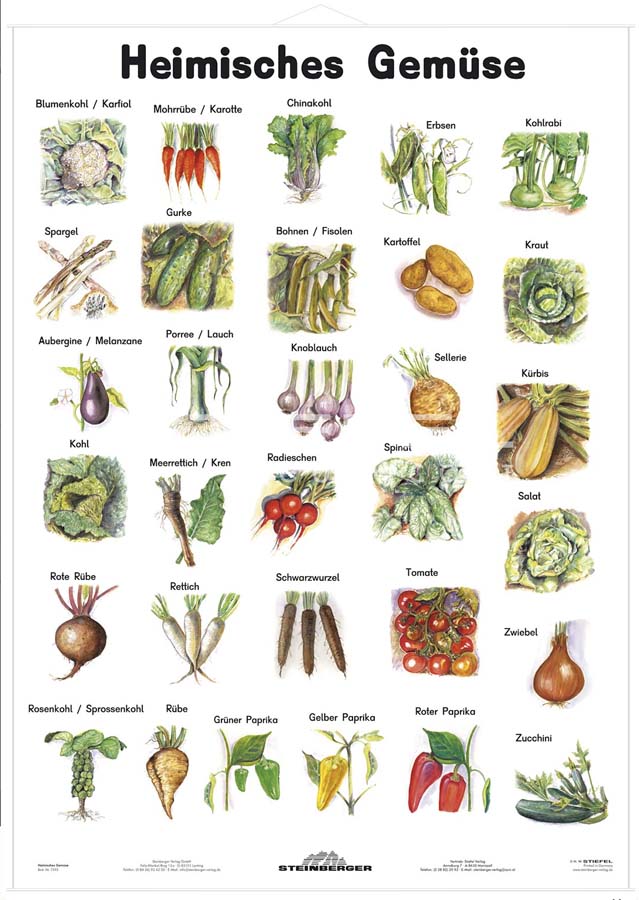 Lehrtafel - Heimisches Gemüse