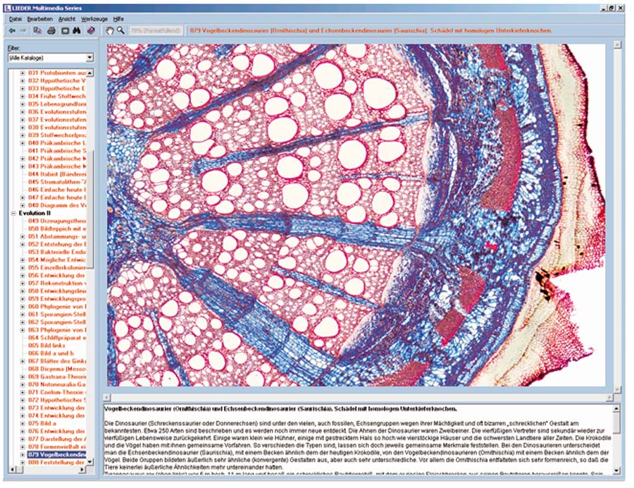 CD-ROM mit Arbeitsmaterial zur Schulserie B