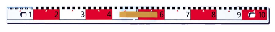 Flachprofil-Lineal mit dm-Skala