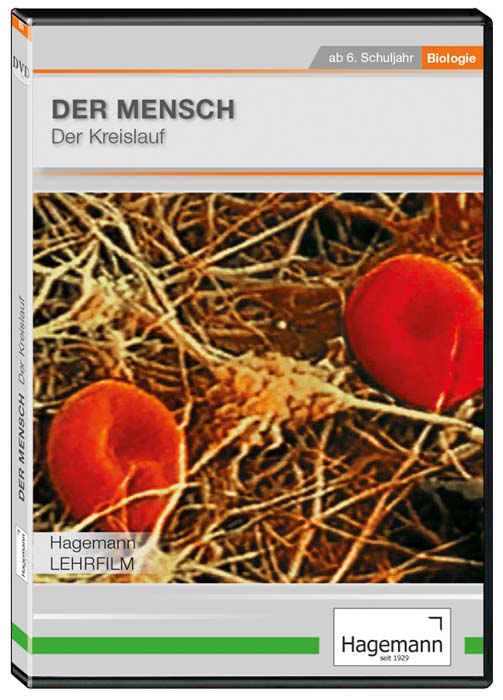 Der Mensch: Das Kreislaufsystem - DVD